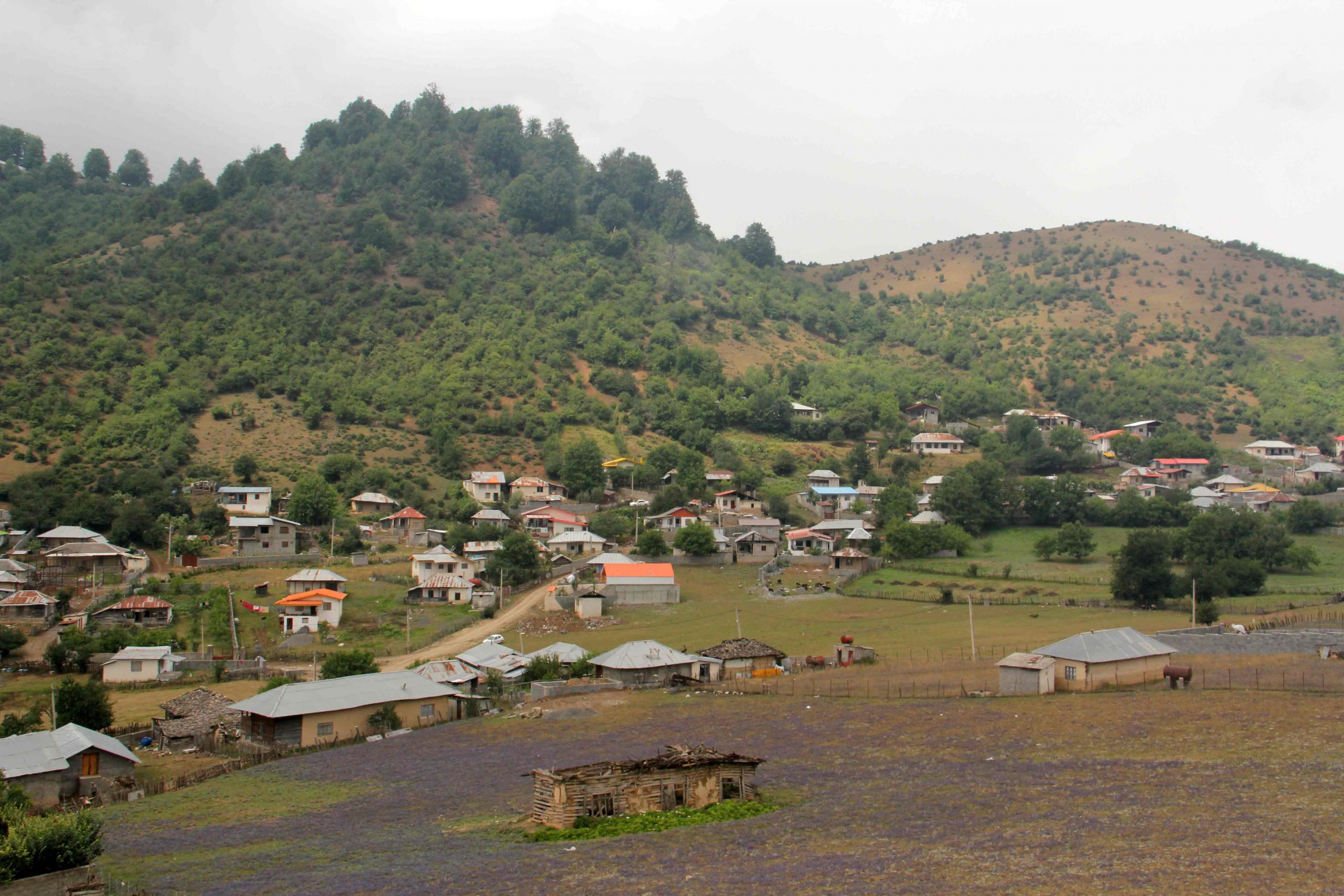 جاده روستای کلیاک, Keliyak Village Road