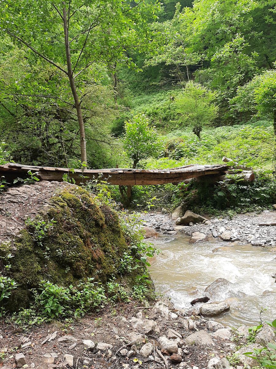 پل چوبی در مسیر اسب ریسه به آبشار خون, Wooden Bridje in Route of Asbriseh to Khun Waterfall