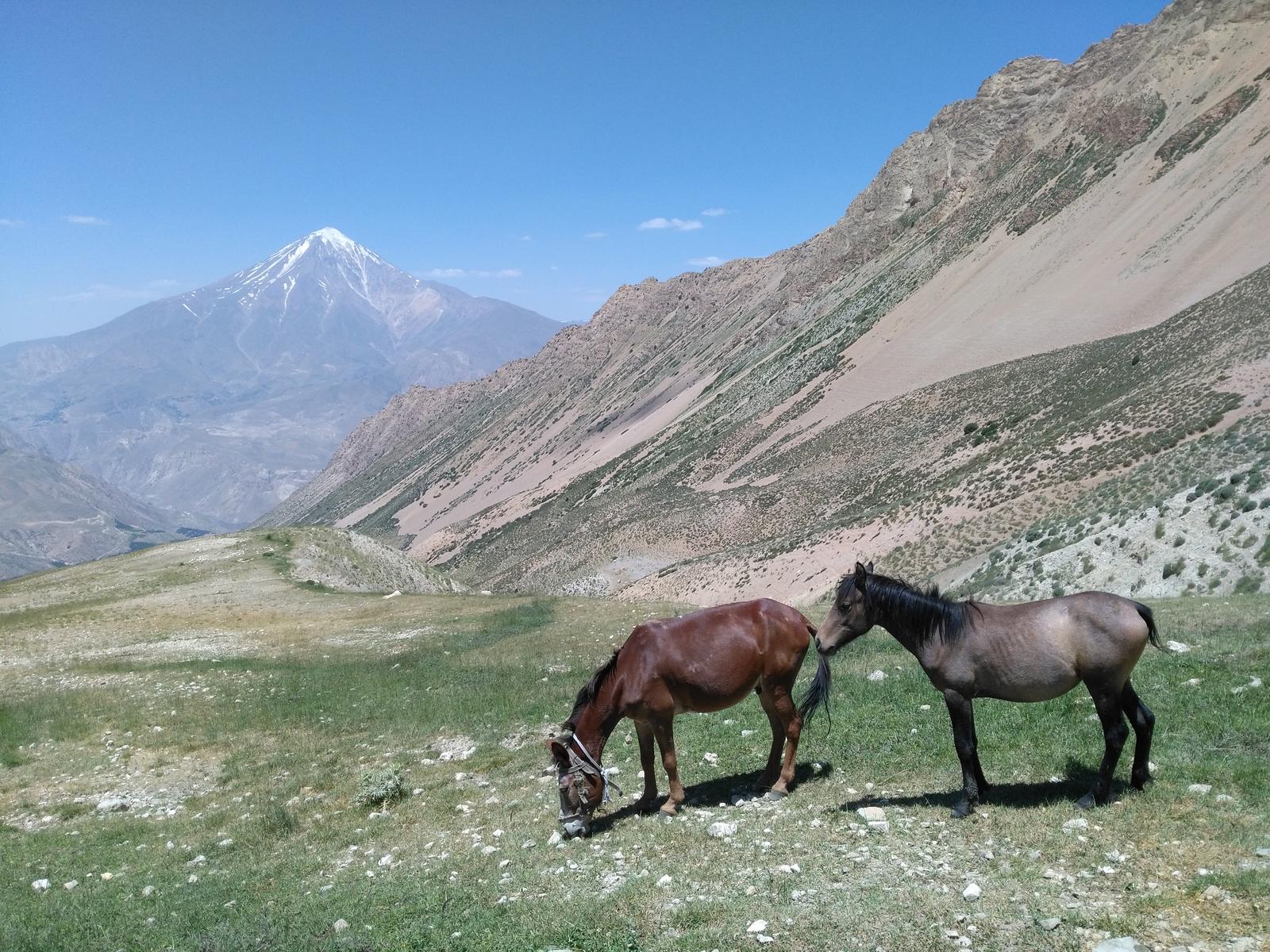 مسیر قله امیری, Route of Amiri Peak