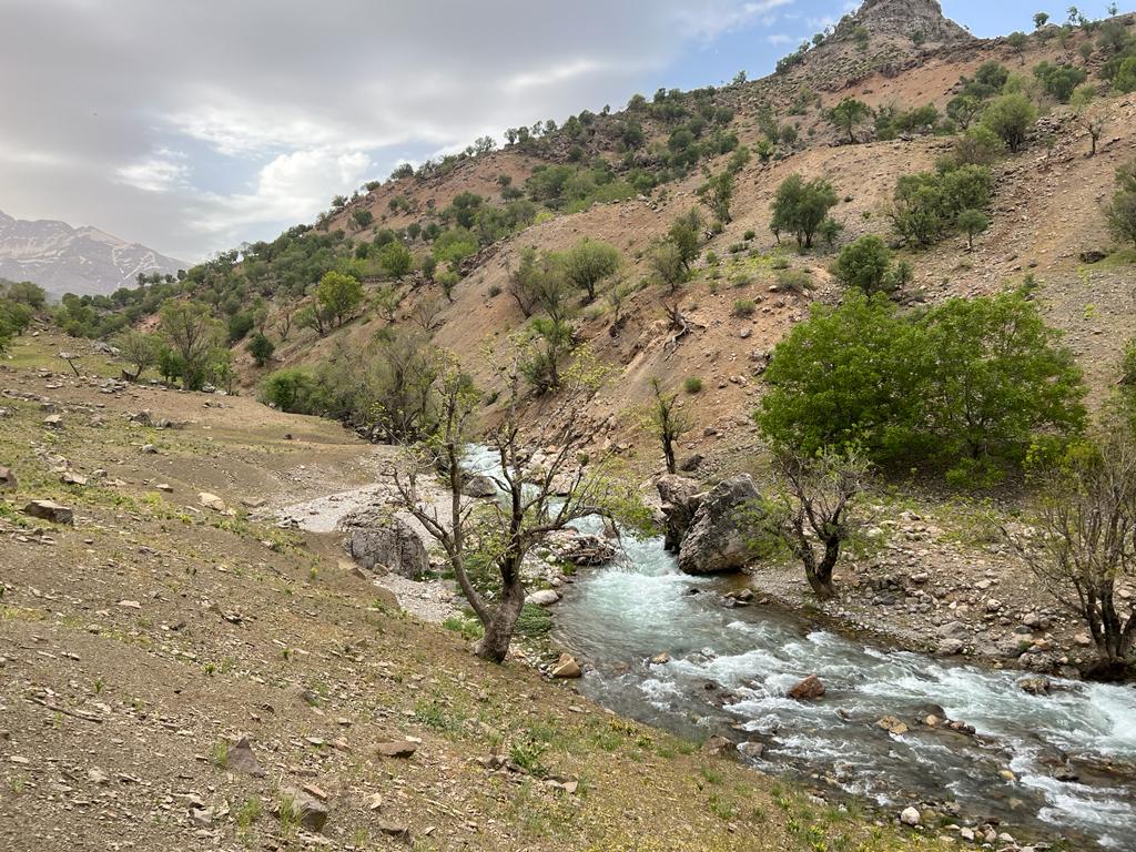 رودخانه ترکی در دره شو